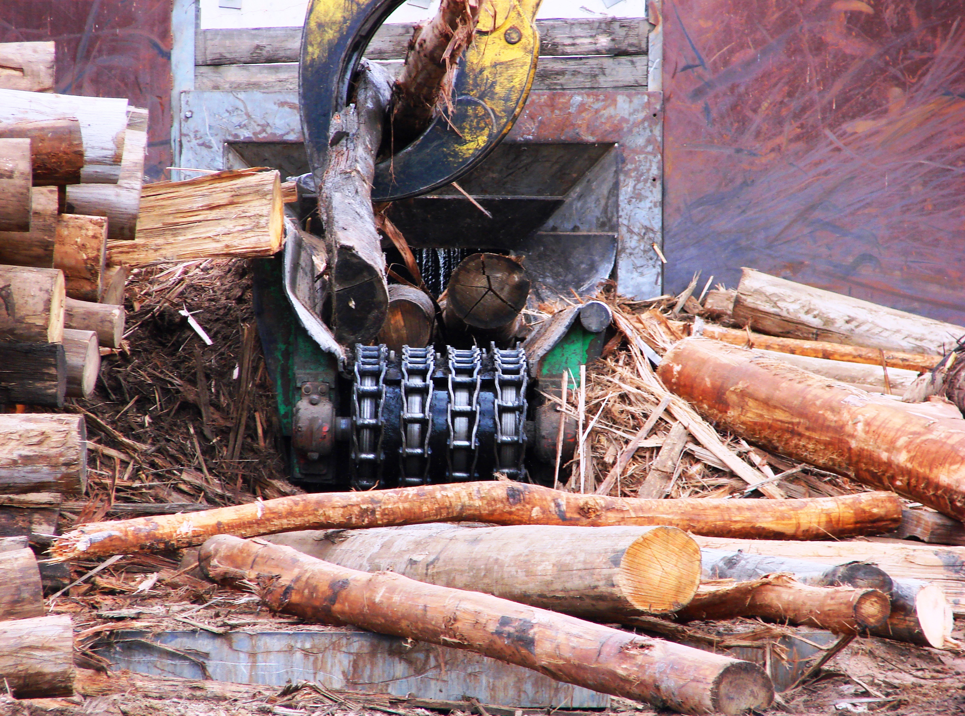 Timber Processing